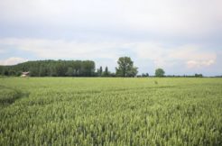 Terrain à Guidel 56520 691m2 280000 € - MADR-25-07-21-10