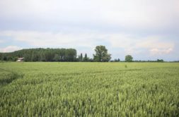 Terrain à Ploemeur 56270 650m2 467000 € - MADR-25-07-21-11