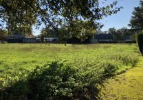 Terrain à Vaux-sur-Mer 17640 647m2 375000 € - BFLR-25-09-13-2