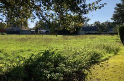 Terrain à Vaux-sur-Mer 17640 647m2 375000 € - BFLR-25-09-13-2