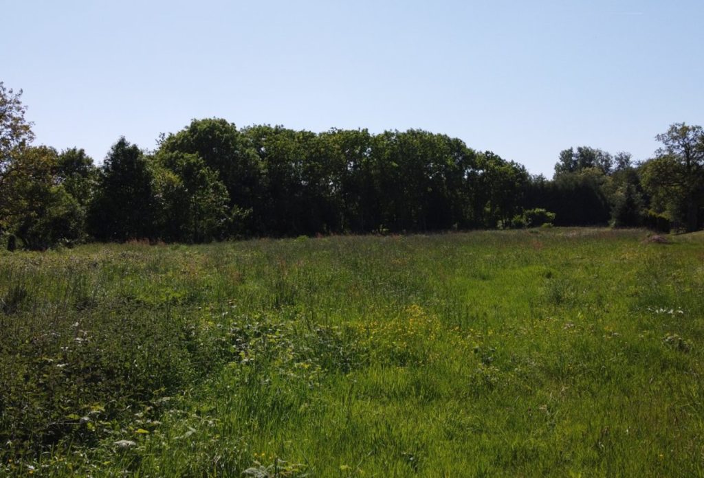 Terrain à BRUSVILY 22100 302m2 42900 € - BONE-25-11-21-7