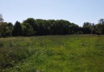 Terrain à BRUSVILY 22100 302m2 42900 € - BONE-25-11-21-7