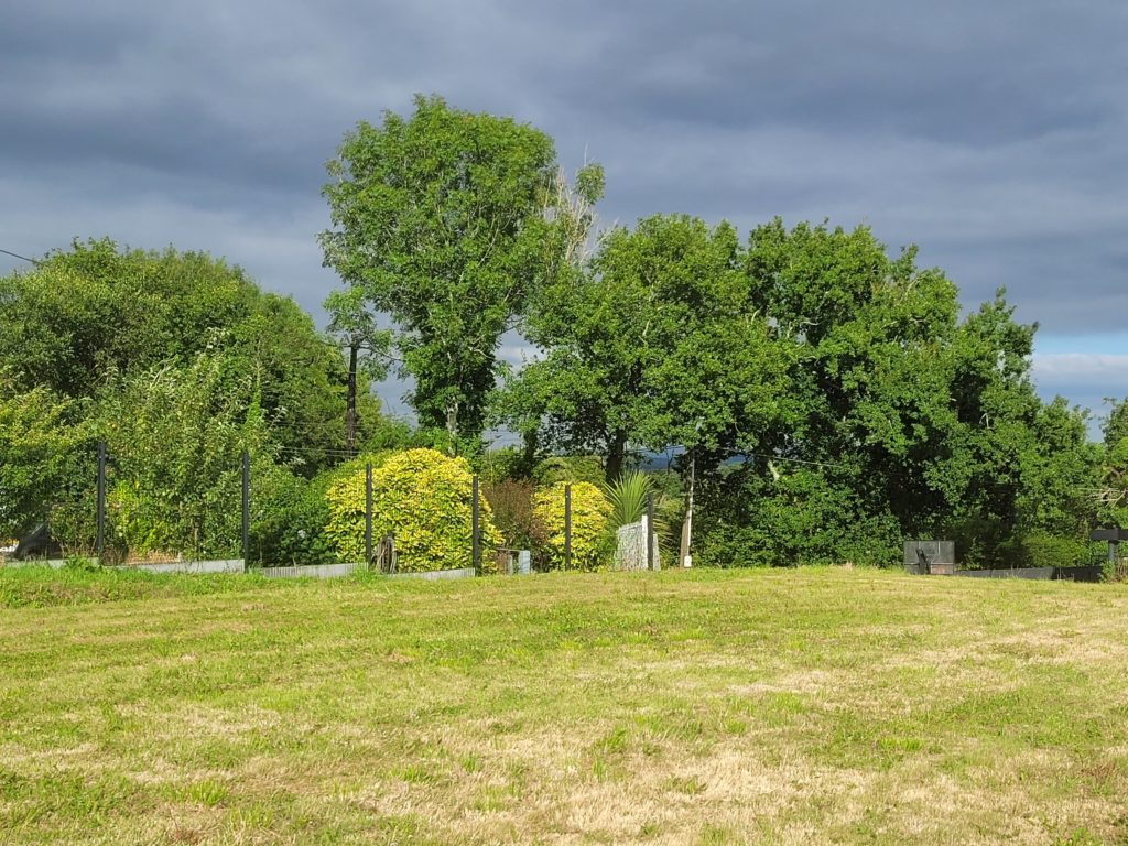 Terrain à Plougastel-Daoulas 29470 1012m2 213000 € - RBRO-25-08-24-15