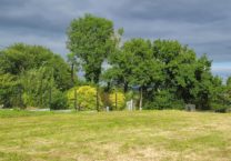 Terrain à Plougastel-Daoulas 29470 1012m2 213000 € - RBRO-25-08-24-15