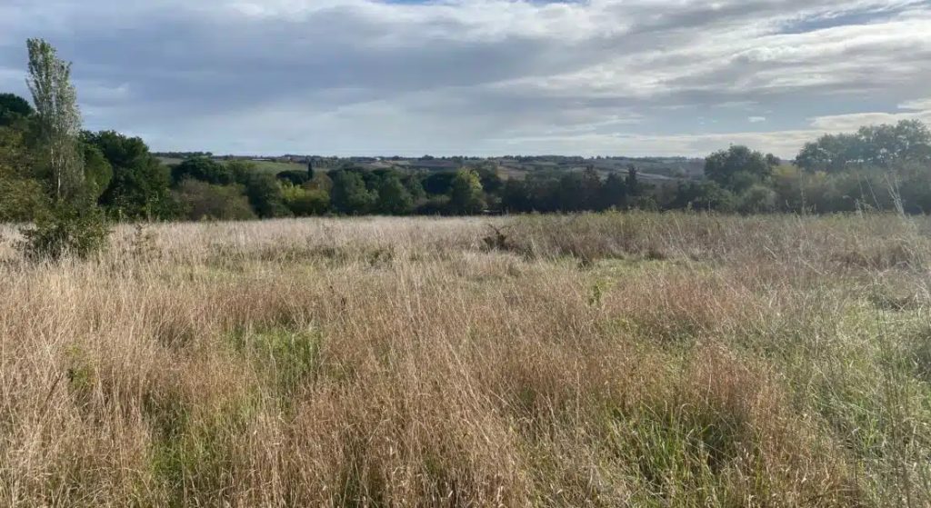 Terrain à Gimont 32200 410m2 51200 € - VIMA-25-07-15-4
