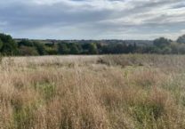 Terrain à Gimont 32200 410m2 51200 € - VIMA-25-07-15-4