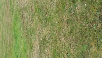 Terrain à Belz 56550 383m2 134100 € - BS-25-08-12-4
