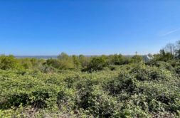 Terrain à Douarnenez 29100 440m2 40000 € - MBE-25-07-24-8
