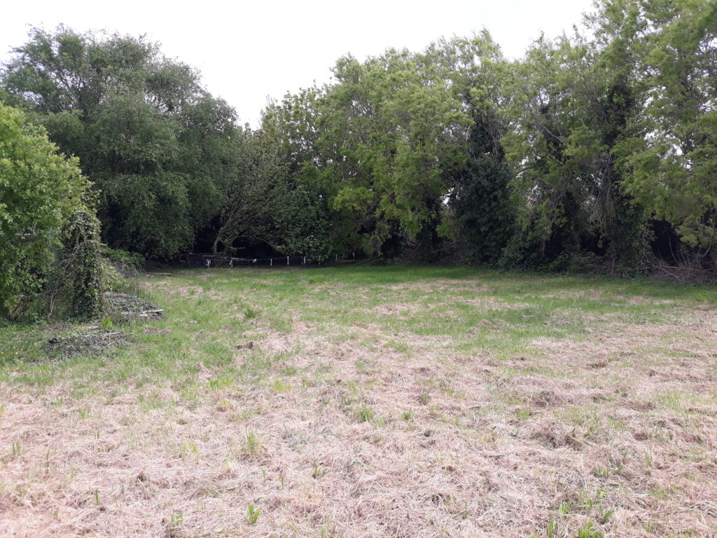Terrain à PAIMPOL 22500 900m2 130000 € - MLAG-25-10-03-3