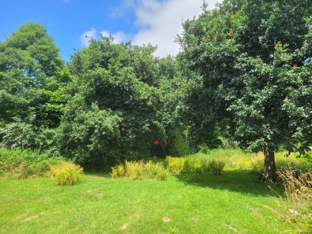 Terrain à Brest 29200 1190m2 179000 € - RBRO-25-08-24-17