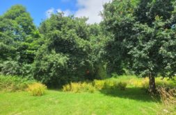 Terrain à Brest 29200 1190m2 179000 € - RBRO-25-08-24-17