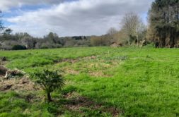 Terrain à Ergue-Gaberic 29500 813m2 67600 € - FLANC-25-09-12-29