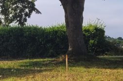 Terrain à Saint-Quay-Portrieux 22410 346m2 74900 € - YLM-25-10-21-29