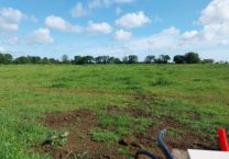 Terrain à Tregunc 29910 925m2 89000 € - FLANC-25-09-12-3