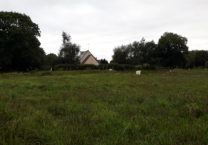 Terrain à Plouaret 22420 532m2 41000 € - MLAG-25-10-03-1