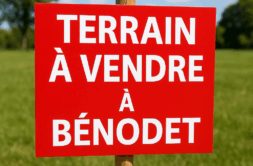 Terrain à Benodet 29950 482m2 97000 € - FLANC-25-09-29-3