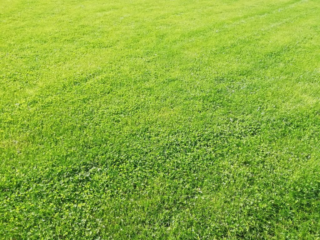 Terrain à Lamballe-Armor 22400 665m2 103000 € - YLM-25-10-21-27