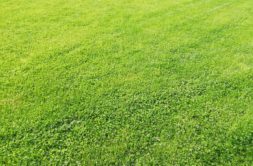 Terrain à Lamballe-Armor 22400 665m2 103000 € - YLM-25-10-21-27