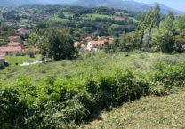 Terrain à Saint-Girons 09200 1312m2 85000 € - FRSC-26-04-03-11