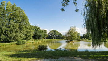 Terrain à Corps-Nuds 35150 256m2 67584 € - PABU-25-11-10-12