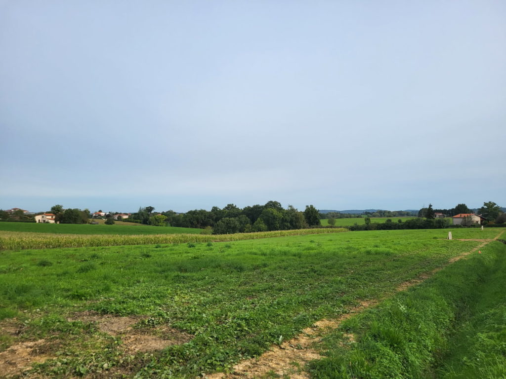 Terrain à Saint-Gaudens 31800 1250m2 37500 € - FRSC-25-11-14-11