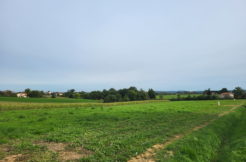 Terrain à Saint-Gaudens 31800 1250m2 37500 € - FRSC-25-11-14-11