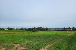 Terrain à Saint-Gaudens 31800 1250m2 37500 € - FRSC-25-11-14-11