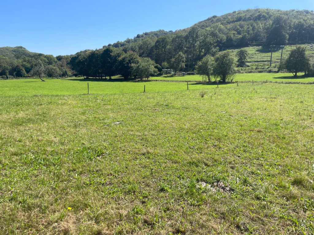 Terrain à Saint-Girons 09200 1036m2 35000 € - FRSC-25-10-08-5