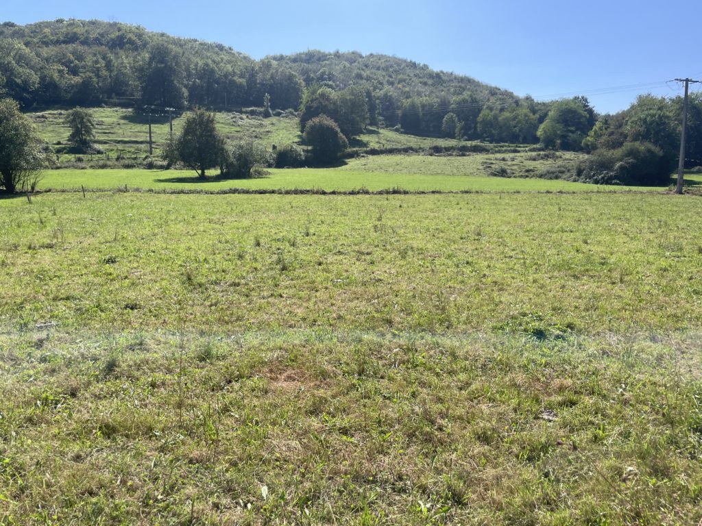 Terrain à Saint-Girons 09200 1480m2 45000 € - FRSC-25-11-14-5