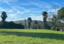 Terrain à Aurignac 31420 1400m2 65000 € - FRSC-26-01-26-43