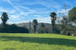 Terrain à Aurignac 31420 1400m2 65000 € - FRSC-26-03-30-11