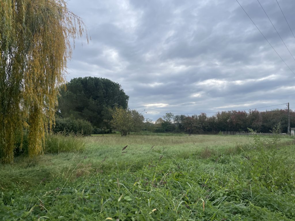 Terrain à Martres-Tolosane 31220 1280m2 50500 € - FRSC-26-01-26-17