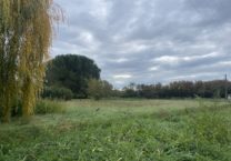 Terrain à Martres-Tolosane 31220 1280m2 50500 € - FRSC-26-01-26-17