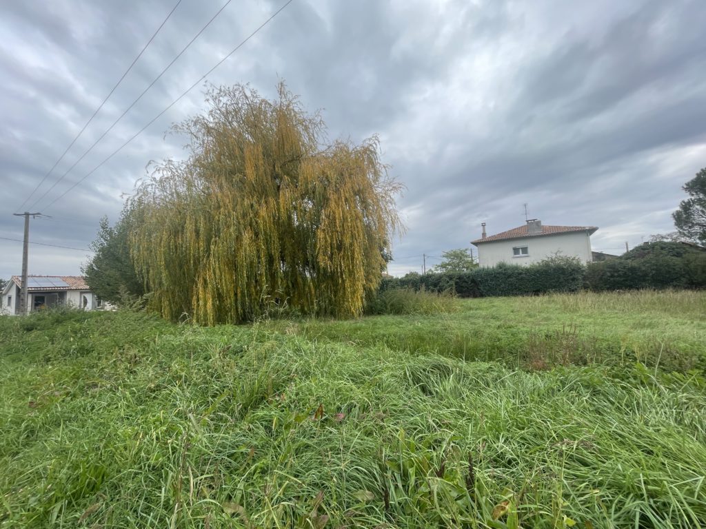 Terrain à Martres-Tolosane 31220 1280m2 50500 € - FRSC-26-01-26-17