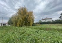 Terrain à Martres-Tolosane 31220 1280m2 50500 € - FRSC-26-01-26-17