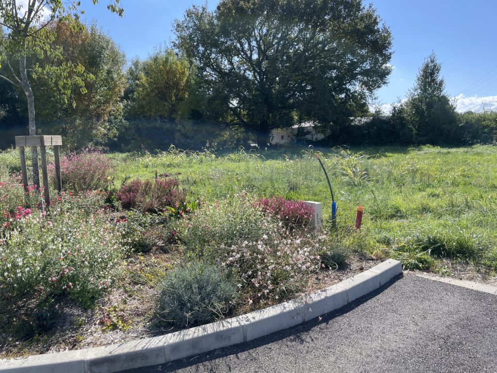 Terrain à Saint-Julien-sur-Garonne 31220 290m2 48000 € - FRSC-25-10-15-1