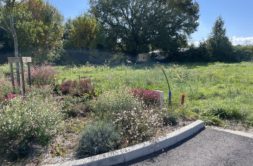 Terrain à Saint-Julien-sur-Garonne 31220 290m2 48000 € - FRSC-25-10-15-1