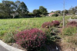 Terrain à Saint-Julien-sur-Garonne 31220 884m2 84000 € - FRSC-25-11-14-10