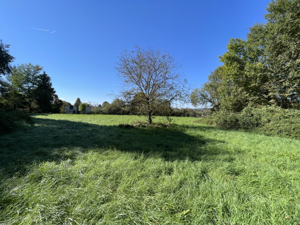 Terrain à Montsaunes 31260 5635m2 53000 € - FRSC-25-11-24-19