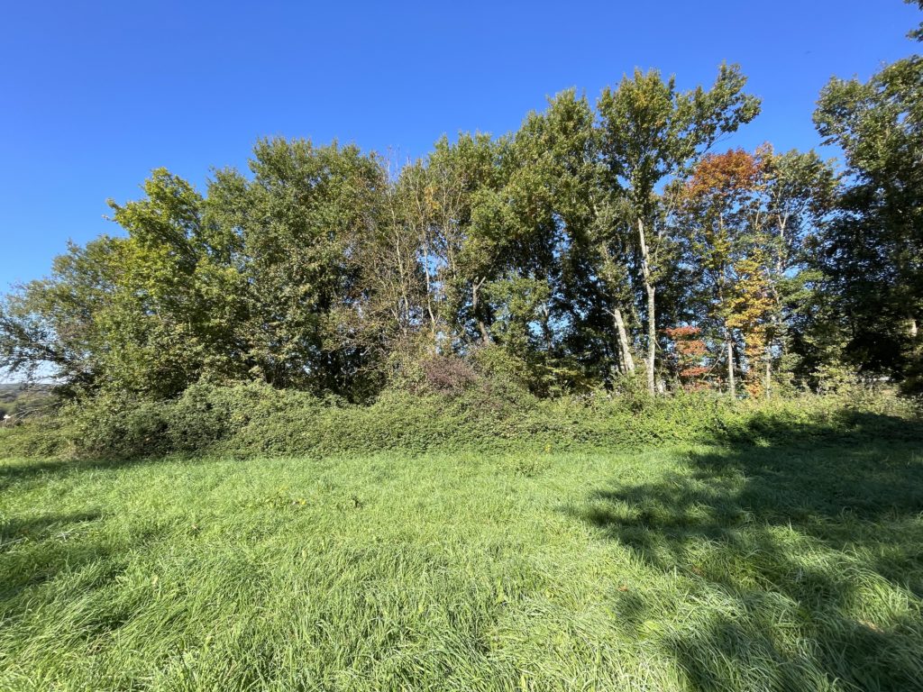 Terrain à Montsaunes 31260 5635m2 53000 € - FRSC-25-11-24-19