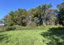 Terrain à Montsaunes 31260 5635m2 53000 € - FRSC-25-11-24-19