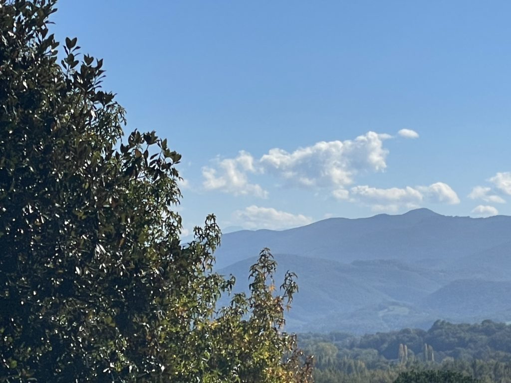 Terrain à Mane 31260 1637m2 44000 € - FRSC-25-11-14-25