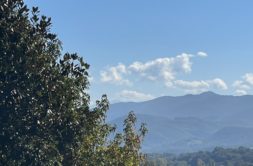 Terrain à Mane 31260 1637m2 44000 € - FRSC-25-11-14-25