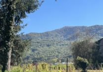 Terrain à Urau 31260 480m2 19500 € - FRSC-25-12-08-18