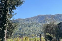 Terrain à Urau 31260 480m2 19500 € - FRSC-25-12-08-18