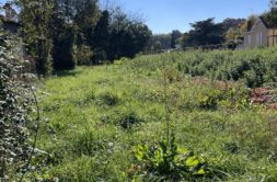 Terrain à Salies-du-Salat 31260 540m2 15000 € - FRSC-26-03-30-9