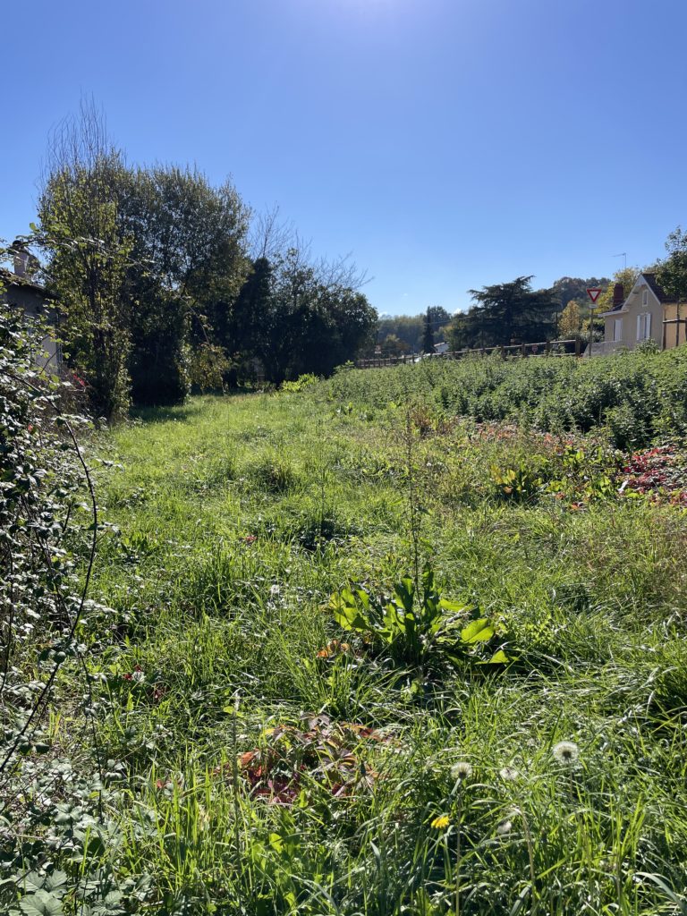 Terrain à Salies-du-Salat 31260 540m2 15000 € - FRSC-26-03-30-9