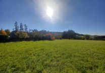 Terrain à Plancoet 22130 304m2 65400 € - BONE-25-11-03-3