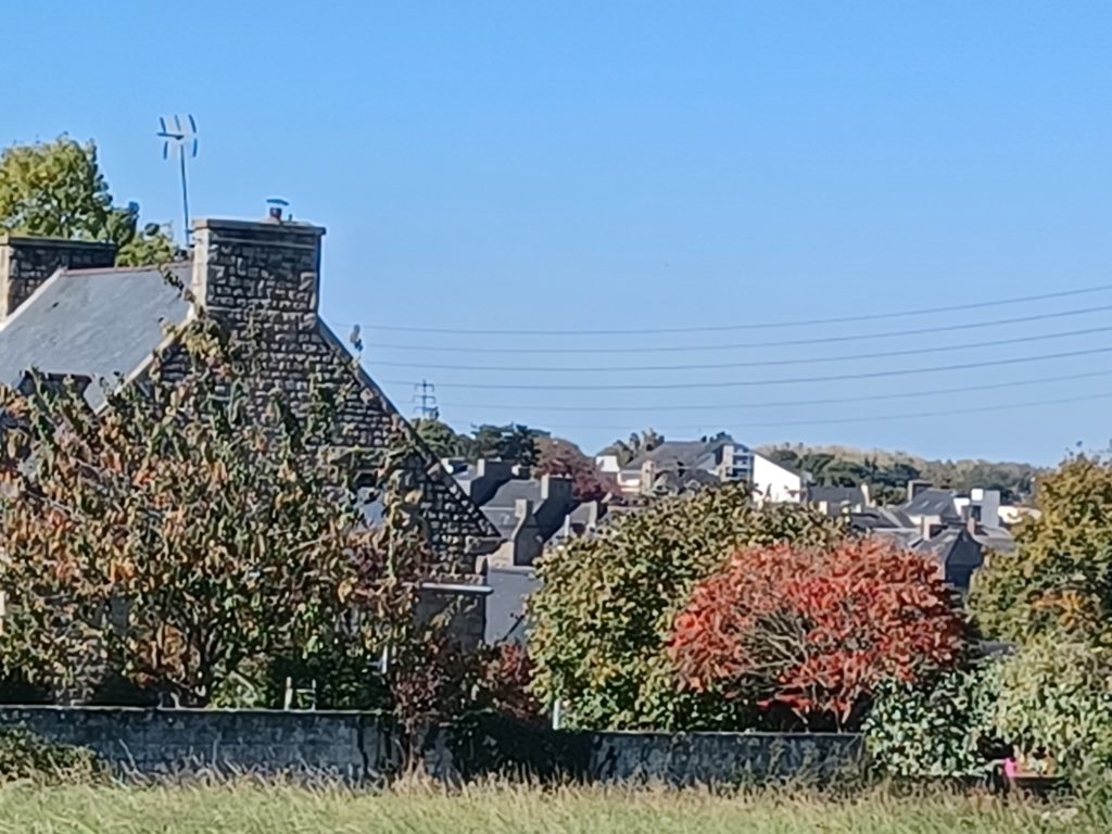 Terrain à Plancoet 22130 304m2 65400 € - BONE-25-11-03-3