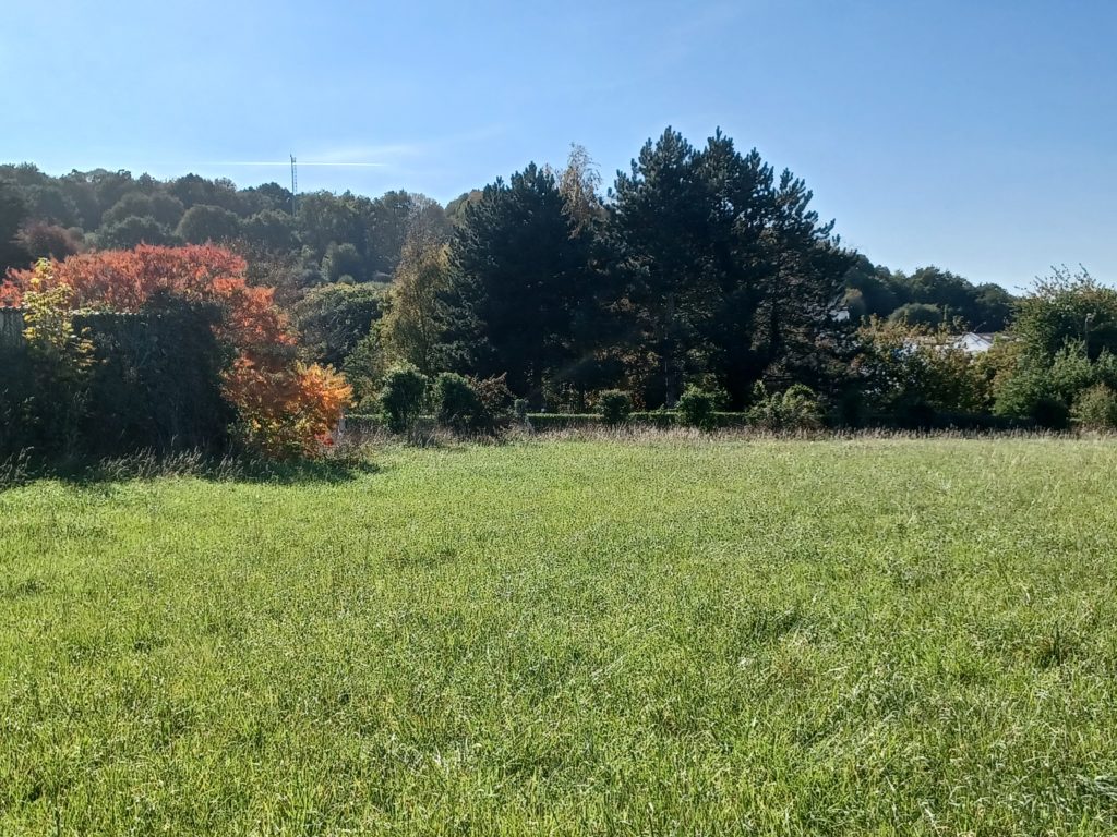 Terrain à Plancoet 22130 286m2 61340 € - BONE-25-11-03-4